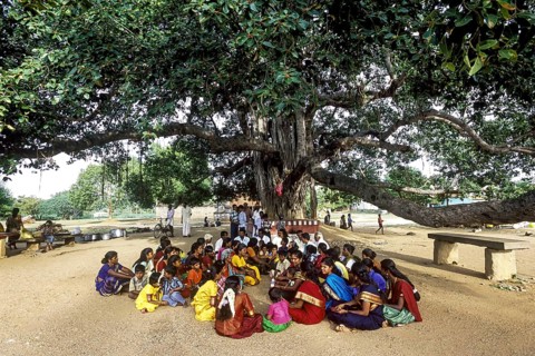 Village people assembled under the Banyan tree to redress village disputes, Tamil Nadu, South