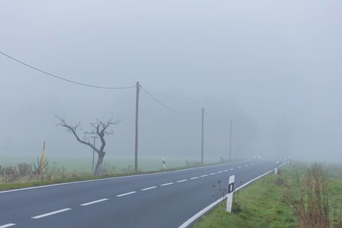 Street with foggy atmosphere near Steinbach, foggy atmosphere, Steinbach, Saxony, Germany, Europe