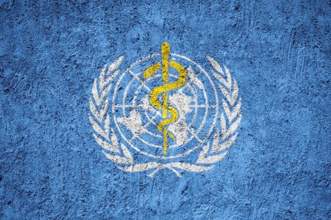 WHO Flag painted on the cracked grunge concrete wall, World Health Organization