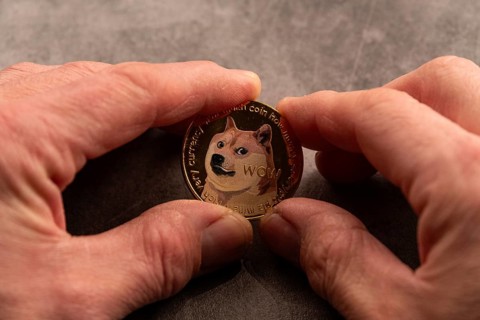One hand holds a coin with the famous Doge meme and the inscription Wow on a grey background