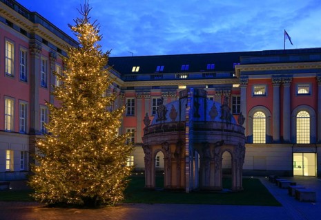 City Palace courtyard with Christmas tree, Alter Markt in the evening, Potsdam, Brandenburg,