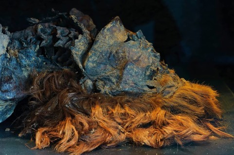 Bog body, by Husbaeke, Landesmuseum Oldenburg, Lower Saxony, Germany, Europe