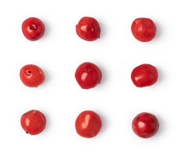 pink pepper isolated on white background