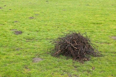 Small pile of cut branches on a green meadow