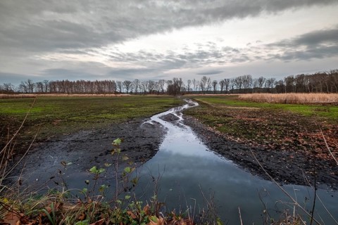 Evening atmosphere in the Upper Lusatian Heath and Pond Landscape Biosphere Reserve