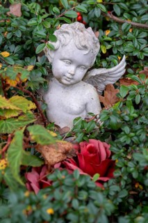 Angel figure on a grave in the cemetery in Garbsen-Stelingen, Lower Saxony, Germany, Europe