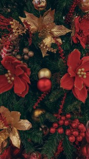 Beautiful poinsettia flowers and lavish golden bauble decorating a Christmas tree