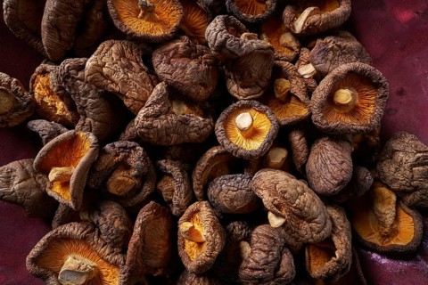 Dried Shiitake mushrooms edible for Asian cuisine food
