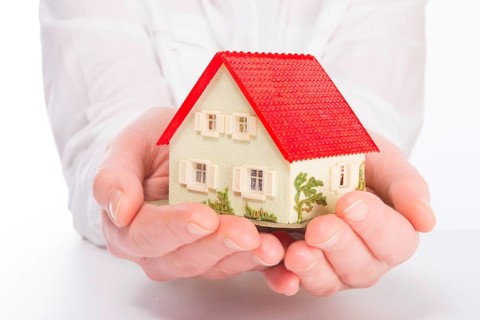 Little House on the hands