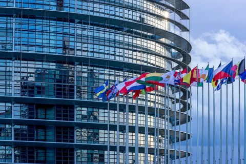 EU flags on poles in front of the Glass Fasadz building and the entrance to the European