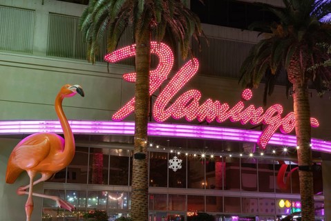 A picture of the Flamingo Las Vegas Hotel and Casino sign
