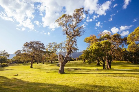 Lake Crackenback disc golf course in late afternoon light in Kosciuszko National Park in New South