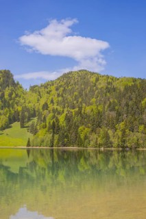 Alatsee, Ostallgäu, Allgäu, Swabia, Bavaria, Germany, Europe