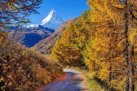Hiking trail with golden larches and Matterhorn 4478m in autumn, Zermatt, Mattertal, Valais,