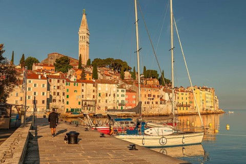 Harbour in the old town with Sveta Eufejima church, Rovinj, Istria, Croatia, Europe