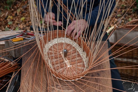 Basket is woven from willow rods (Salix viminalis), Franconia, Bavaria, Germany, Europe