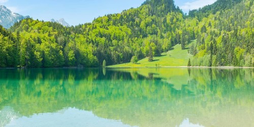 Alatsee, Ostallgäu, Allgäu, Swabia, Bavaria, Germany, Europe
