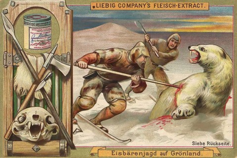 Picture series Hunting, Polar bear hunt in Greenland, Liebig picture, digitally restored