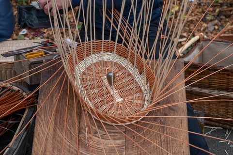 Basket is woven from willow rods (Salix viminalis), Franconia, Bavaria, Germany, Europe
