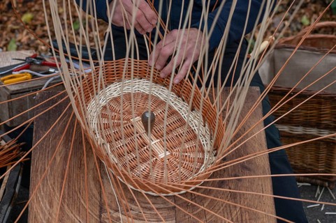 Basket is woven from willow rods (Salix viminalis), Franconia, Bavaria, Germany, Europe
