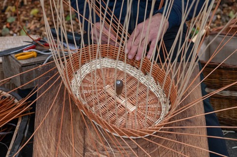 Basket is woven from willow rods (Salix viminalis), Franconia, Bavaria, Germany, Europe