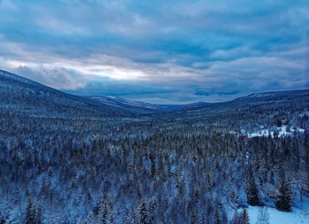 Huge wooded areas, mixed forest covered in snow, characterise the landscape between Szklarska