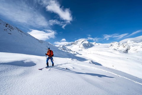 Ski tourers in a snow-covered mountain landscape, mountain peak Monte Cevedale and glacier