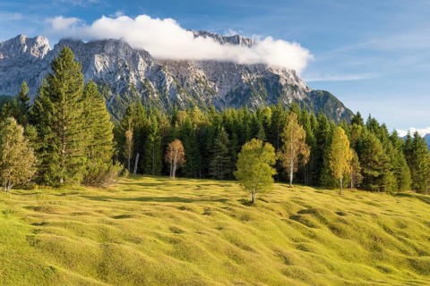 Buckelwiesen between Mittenwald and Krün, Werdenfelser Land, Upper Bavaria, Bavaria, Germany,
