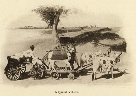 A Quaint Vehicle Such bullock carts are now lost in antiquity, Drawn in early 1900's, Saurashtra,