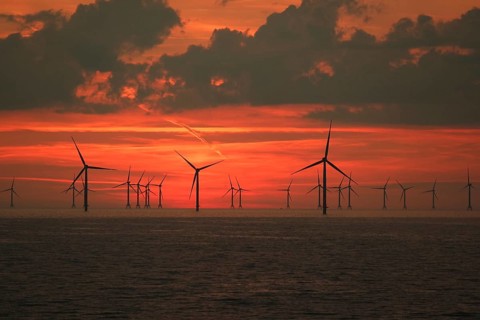 Baltic Sea wind farm at sunset