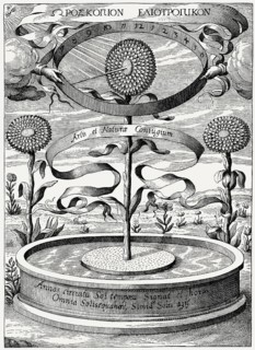 Heliotropic sunflower clock by Athanasius Kircher, Magnes, sive de arte Magnetica, 1641
