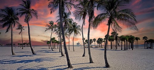 USA/ Florida - Miami, beach at Crandon Park, palm trees
