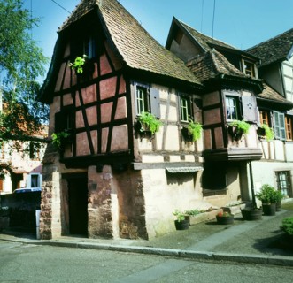 A bicycle tour through the Alsace, here on 11.05.1994 near Kayserberg, on a vineyard route is not
