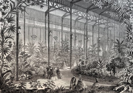Royal Horticultural Society, South Kensington, Great London Exposition, 1862