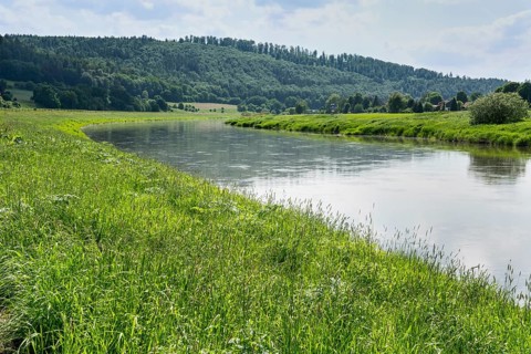 Weser River near Gewissenruh, Wesertal, Oberweser, Weserbergland, Hesse, Germany, Europe
