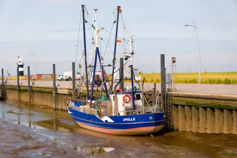Shrimp trawlers moored in the sieve harbour on the Wadden Sea, Wremen, Cuxhaven, Lower Saxony