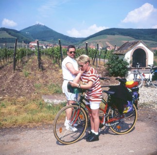 A bike ride through the Alsace, here on 11.05.1994 near Kayserberg, on a vineyard route is not only