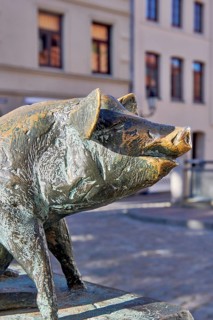 Bronze sculpture of a wild boar on a plinth by a road, pig bridge with a group of four pigs on the