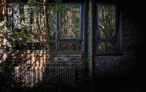 Window of an abandoned house with vegetation and shadow, Gerresheimer Germany, Lost Place,