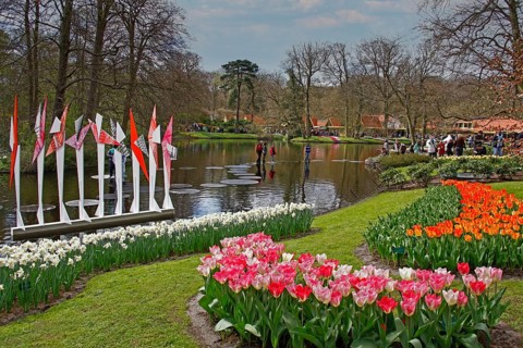 Tulip blossom, flower bed tulips, daffodils, lake, Wilhelmina Pavilion, spring, spring flower-bed,