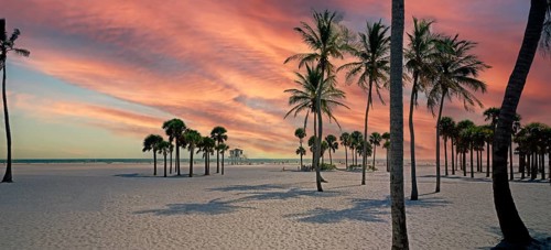 Beach at Crandon Park, palm trees, Miami, Florida, USA, North America