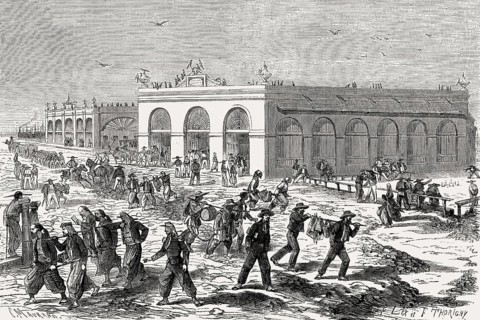 The supply of food for the troops, Second Franco-Mexican War, 1863
