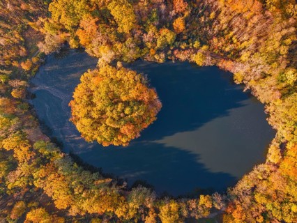 The leaves on the trees around the Gänseweiher pond near Maintal-Bischofsheim, close to Frankfurt