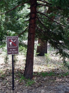 Deer sign, World Heritage Site 1984, Yosemite National park, California, USA United States of