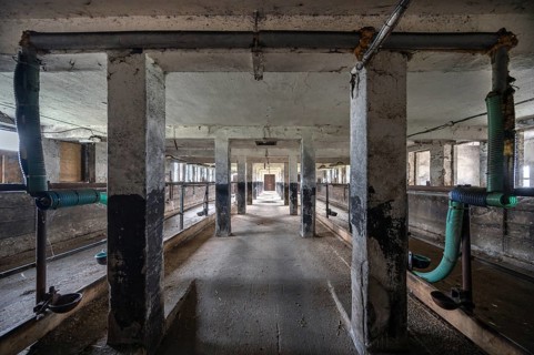 Empty cowshed of a former LPG of the GDR, Mecklenburg-Vorpommern, Germany, Europe