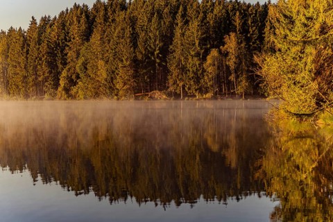Autumnal morning atmosphere at Schmutter Weiher with fog near Lechbruck, Halblech and Roßhaupten in