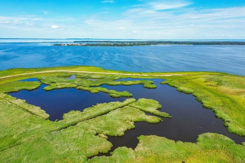Aerial view, drone photo: lagoons and reeds on the island Riether Werder, Rieth, in the background