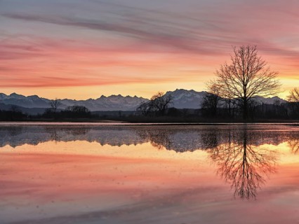 Pilatus reflected in the flooded nature reserve in the evening light, Reussspitz, Hünenberg, Canton