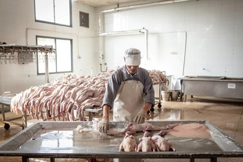Production of salted ducks in the Nan Jing Ying Tao Yo Co. Ltd. factory, for consumption in