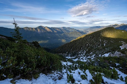 Forest-covered mountain landscape of the Ammergau Alps, hike to Kramerspitz, in autumn, Ammergau